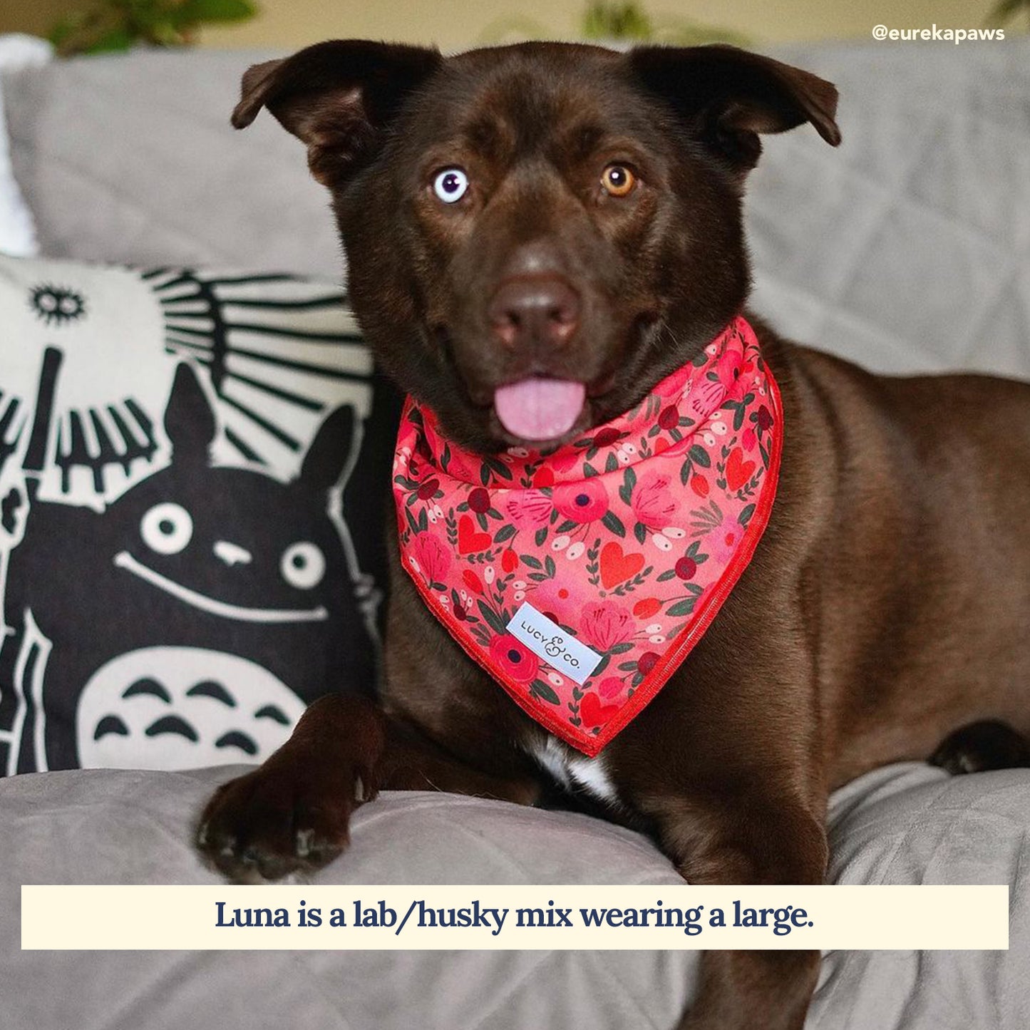 Posy Pink Bandana