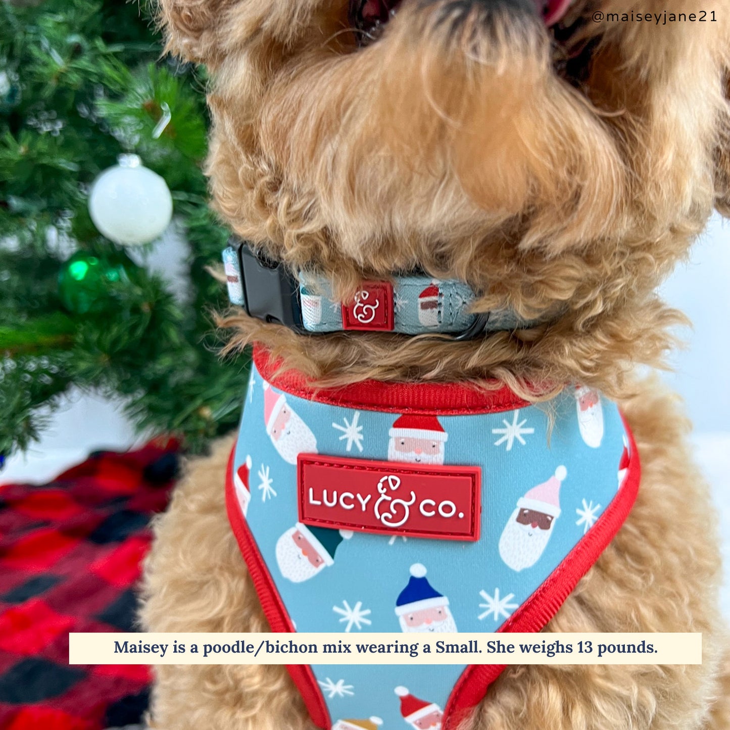Limited Edition! The Merry & Bright Collar