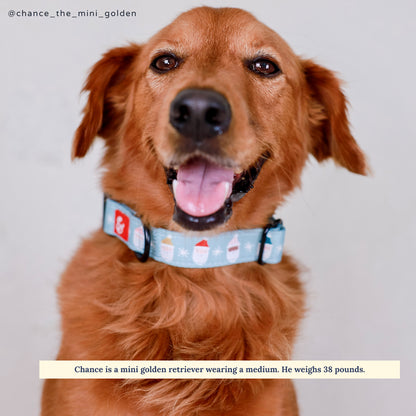 Limited Edition! The Merry & Bright Collar