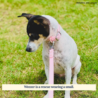 Rosewater Waterproof PVC Collar