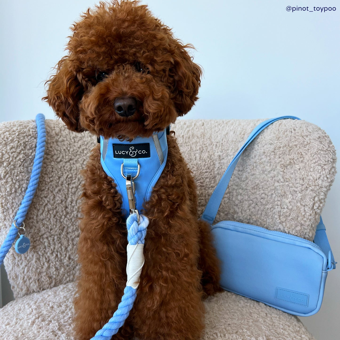 Denim Blue Hands-Free Rope Leash