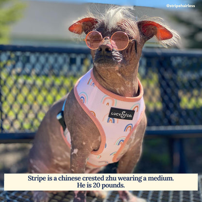 In the Clouds Reversible Harness