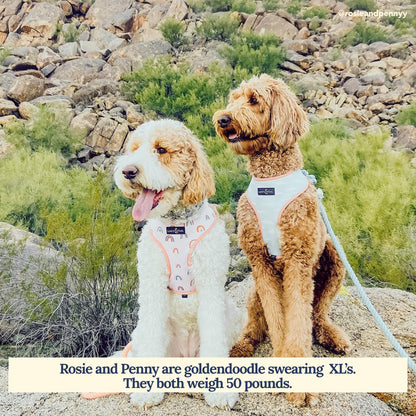 In the Clouds Reversible Harness