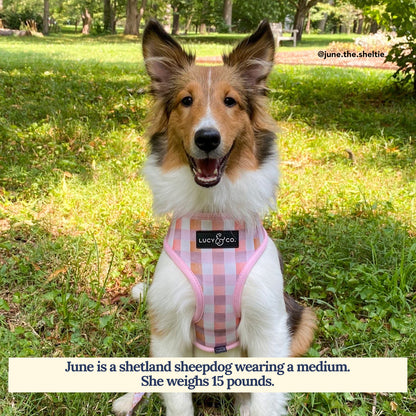 Daisy Delight Reversible Harness