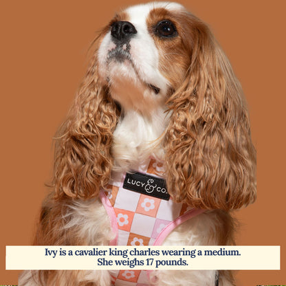 Daisy Delight Reversible Harness