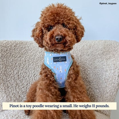 Funny Bunny Reversible Harness