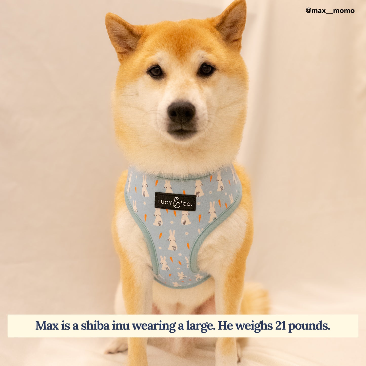 Funny Bunny Reversible Harness