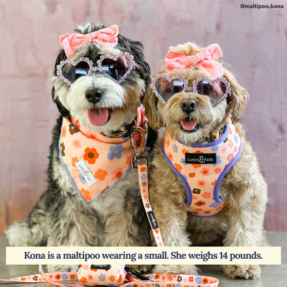 Let's Groove Reversible Harness