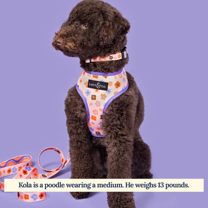 Let's Groove Reversible Harness