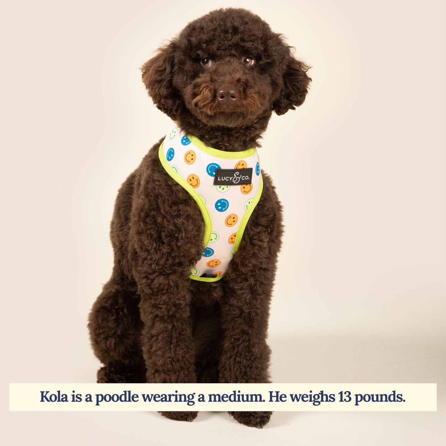 The Have a Nice Day Reversible Harness