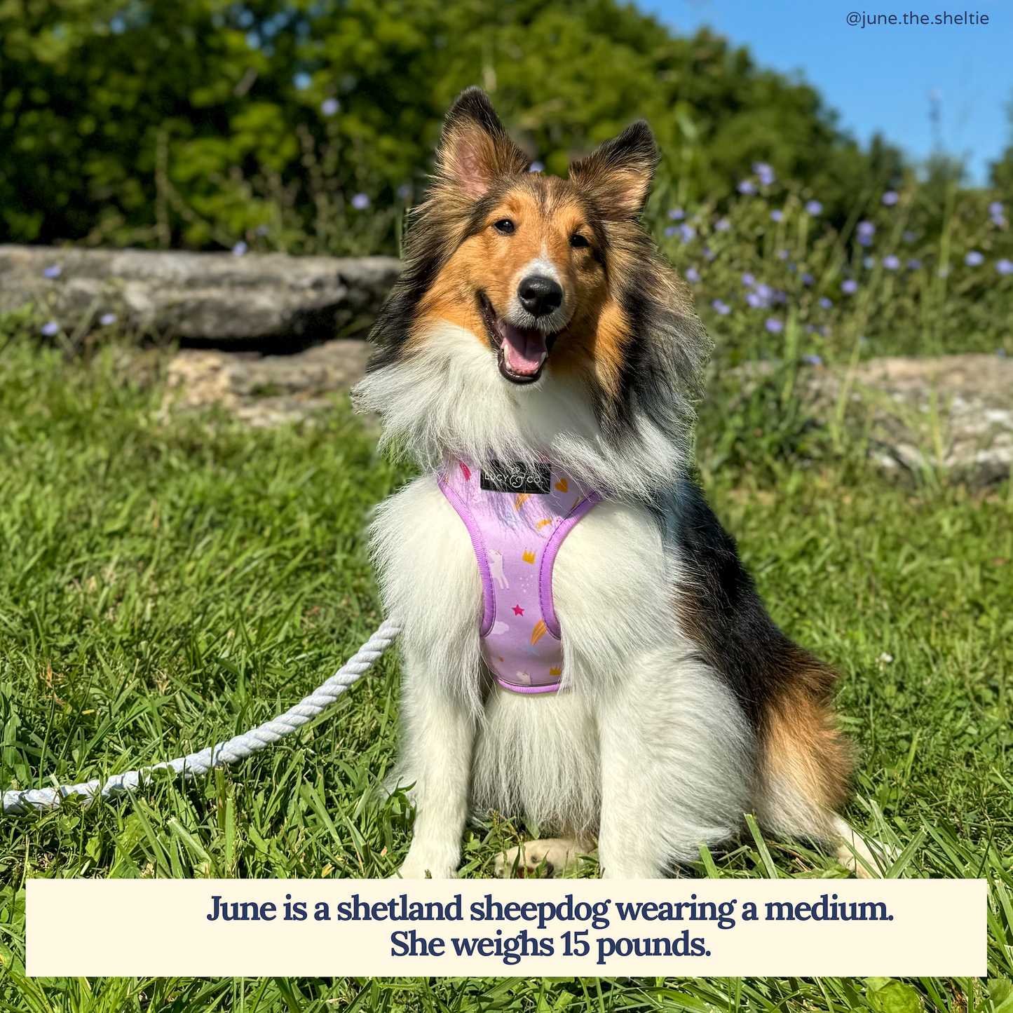Making Magic Reversible Harness