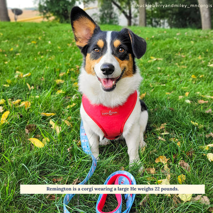 Limited Edition! The Merry & Bright Reversible Harness