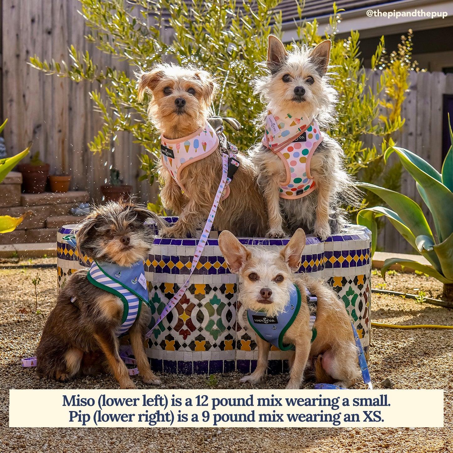 Set Sail Reversible Harness