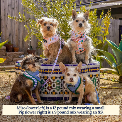 Set Sail Reversible Harness