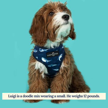 Shark Attack Reversible Harness