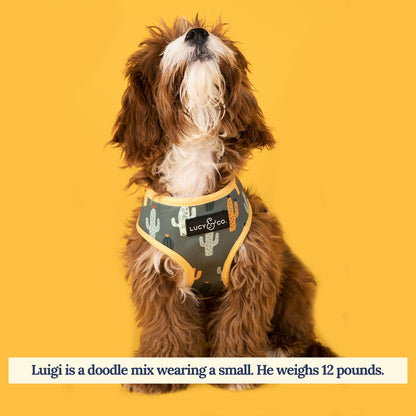 The Looking Sharp Reversible Harness