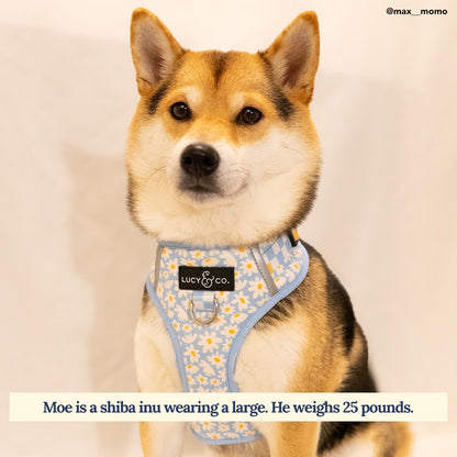 Simply Splendid No-Pull Harness