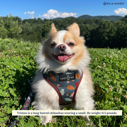 The Unbeleafable Reversible Harness