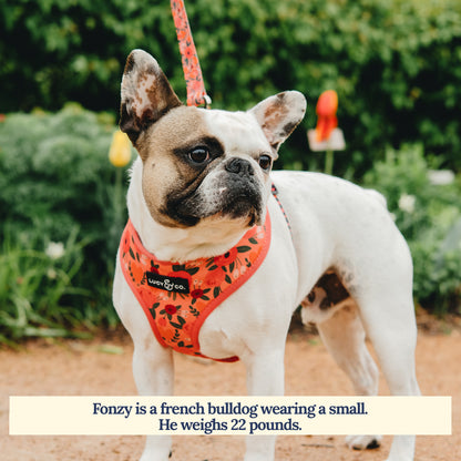 Posy Pink Leash