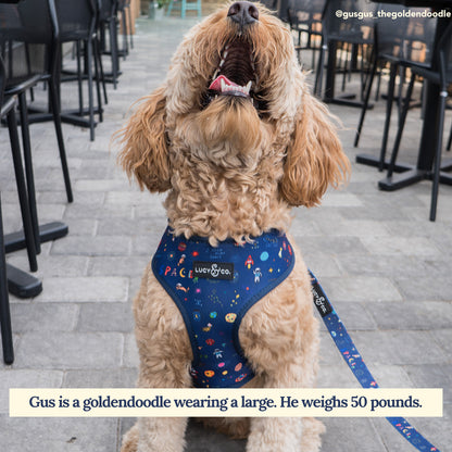 Space Doodle Leash