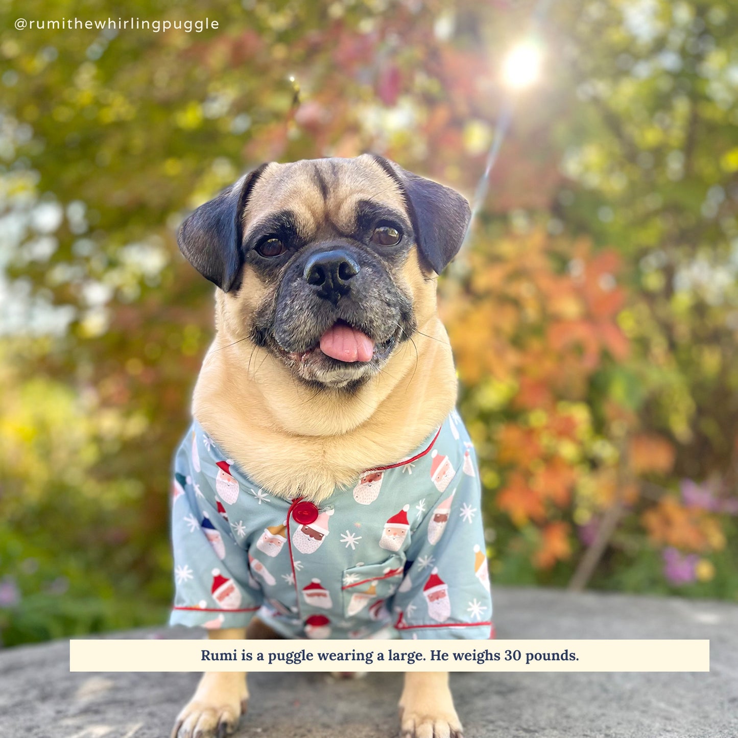 Limited Edition! The Merry & Bright Pajamas + Human Eye Pillow