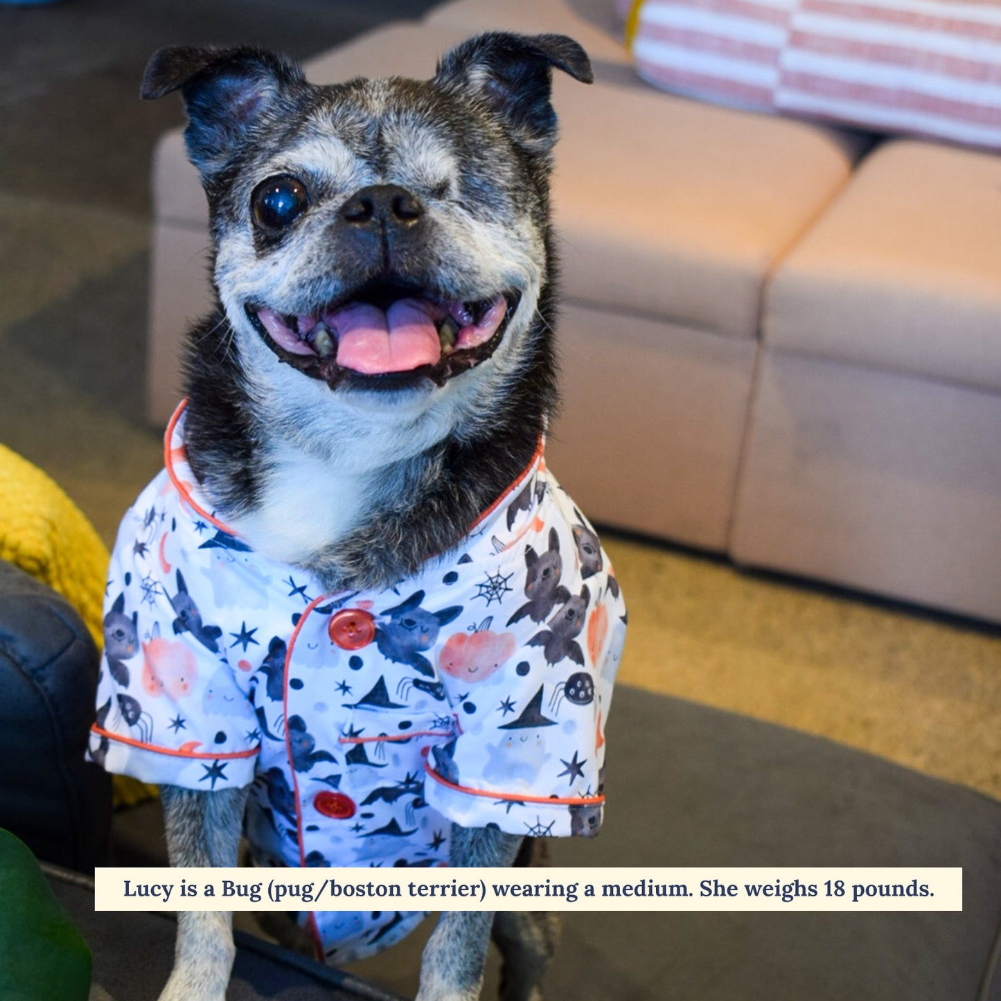 Halloween Night Dog Pajamas + Human Eye Pillow