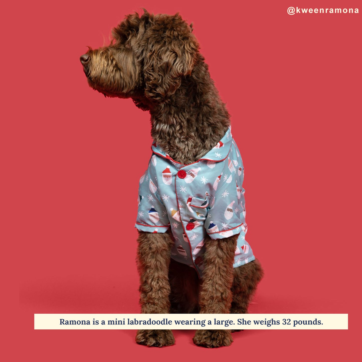 Limited Edition! The Merry & Bright Pajamas + Human Eye Pillow