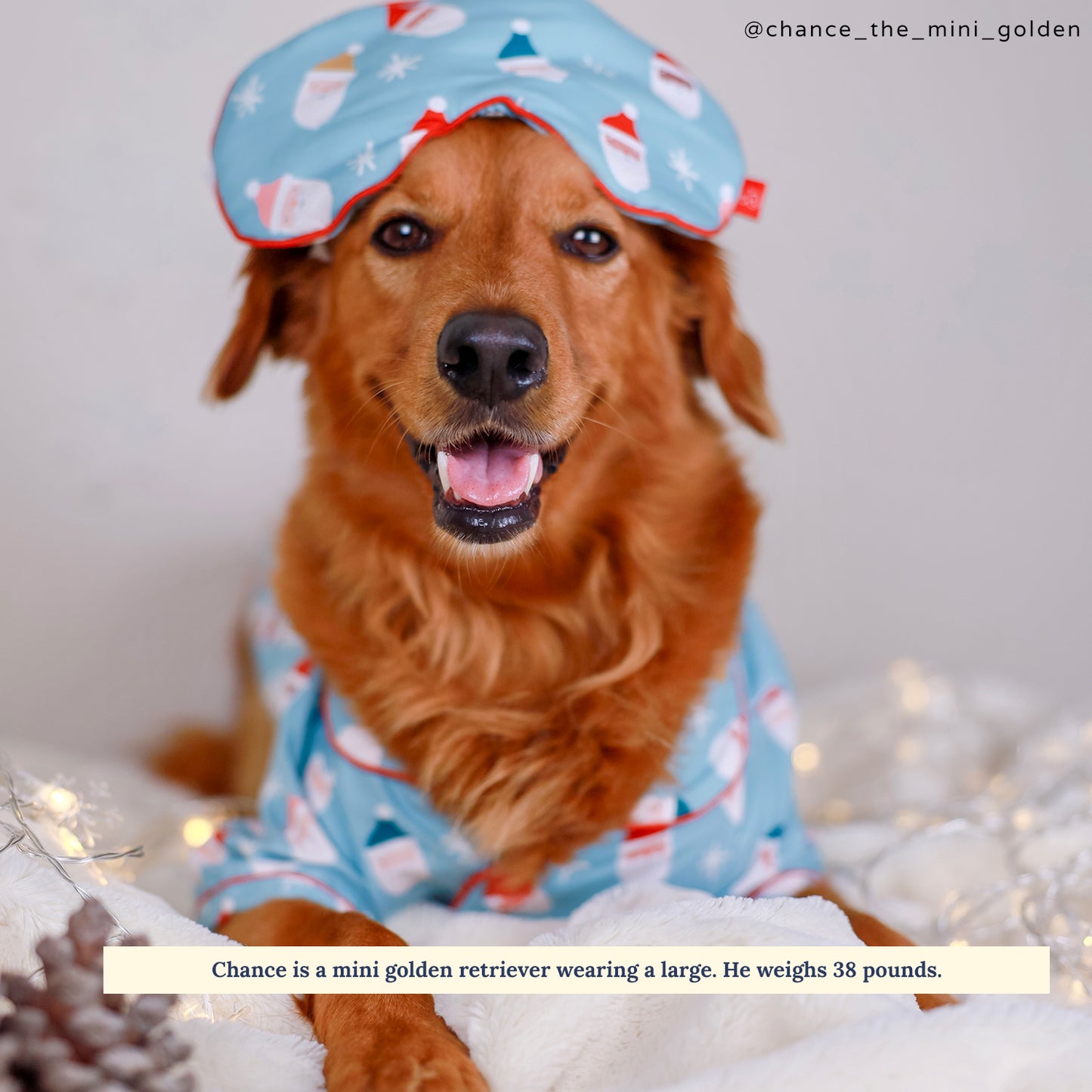 Limited Edition! The Merry & Bright Pajamas + Human Eye Pillow