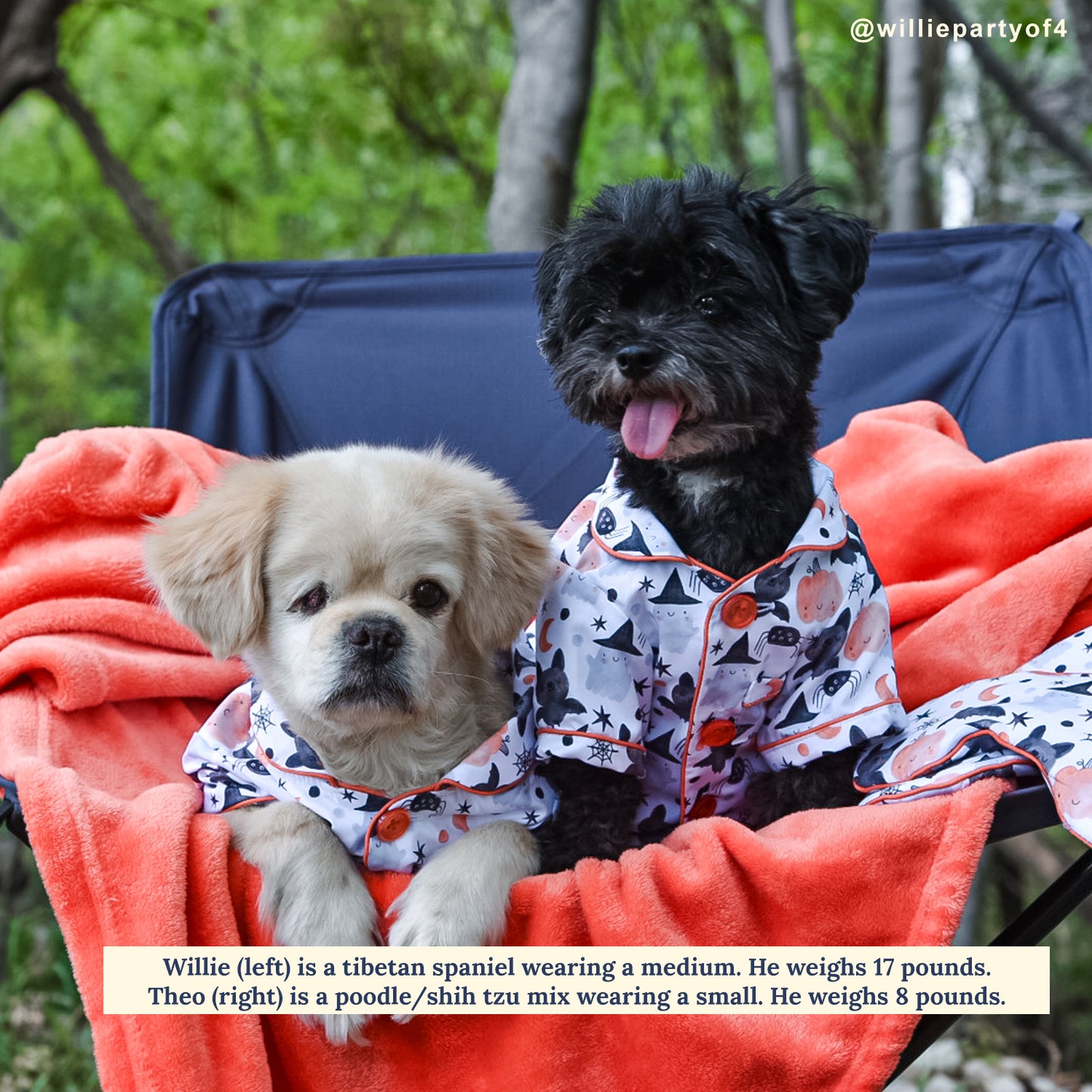 Halloween Night Dog Pajamas + Human Eye Pillow