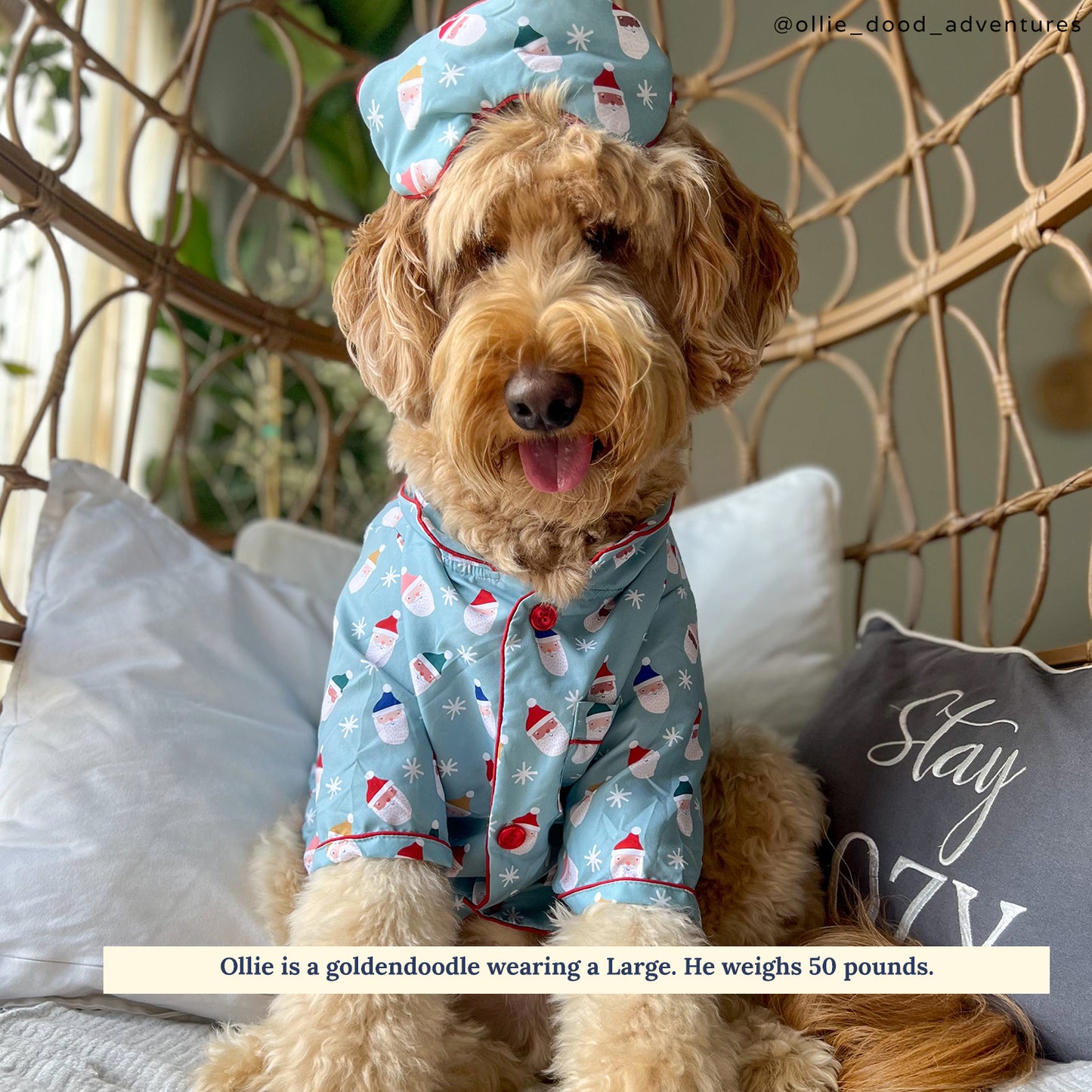 Limited Edition! The Merry & Bright Pajamas + Human Eye Pillow