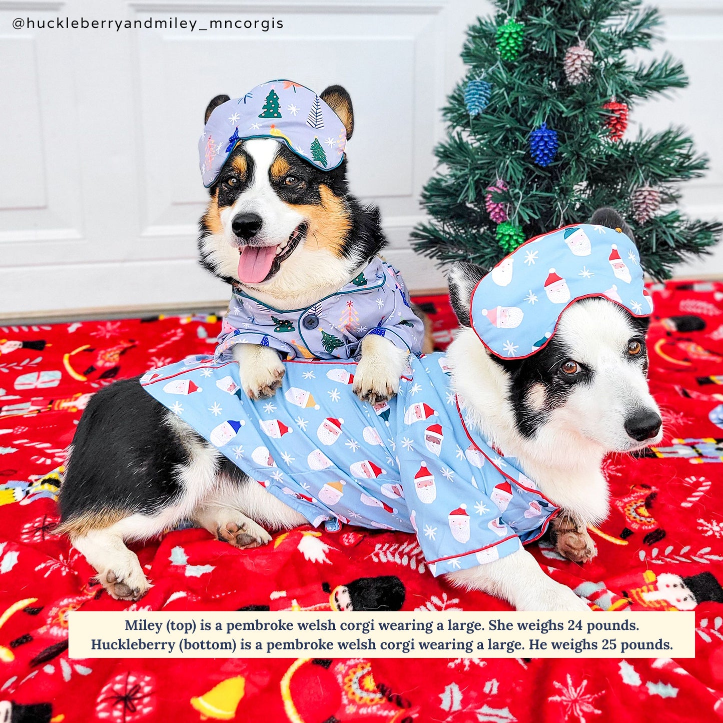 Limited Edition! The Merry & Bright Pajamas + Human Eye Pillow