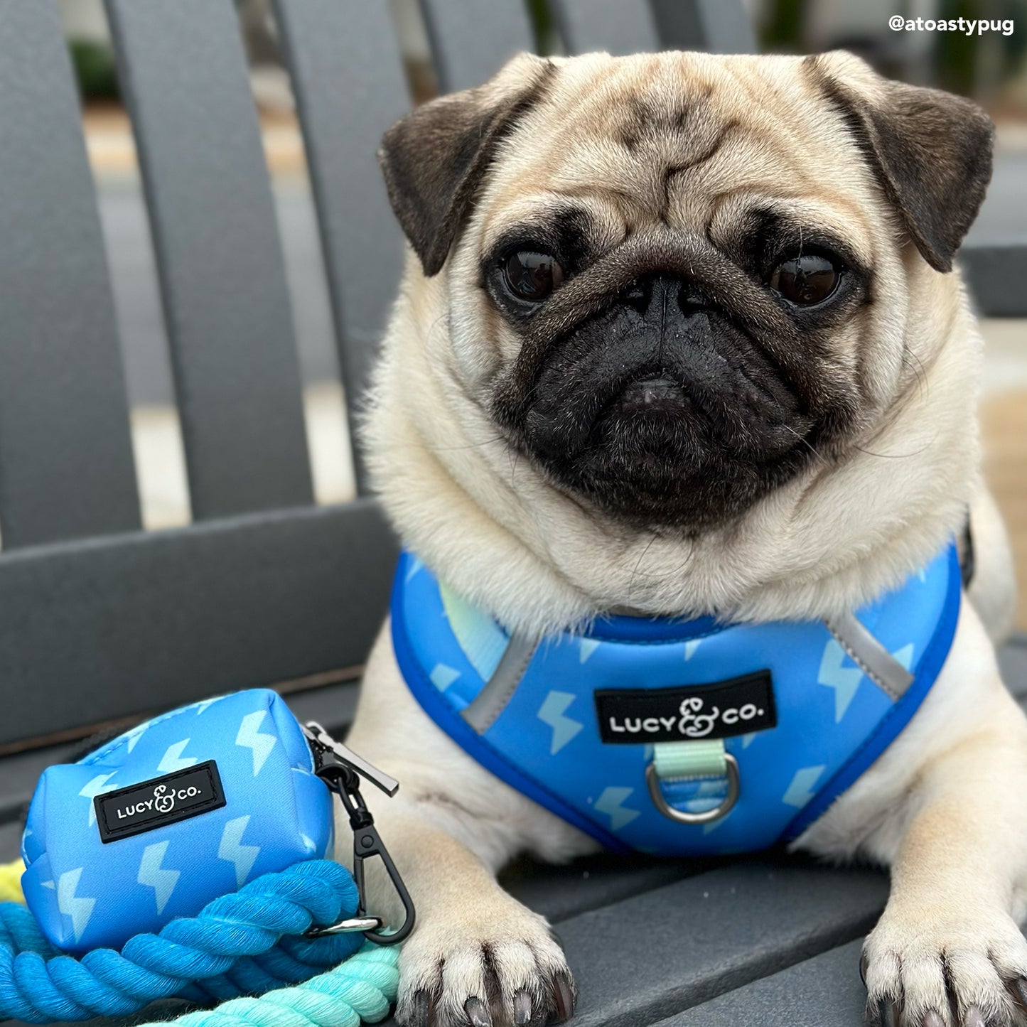 Bolt of Energy Poop Bag Holder
