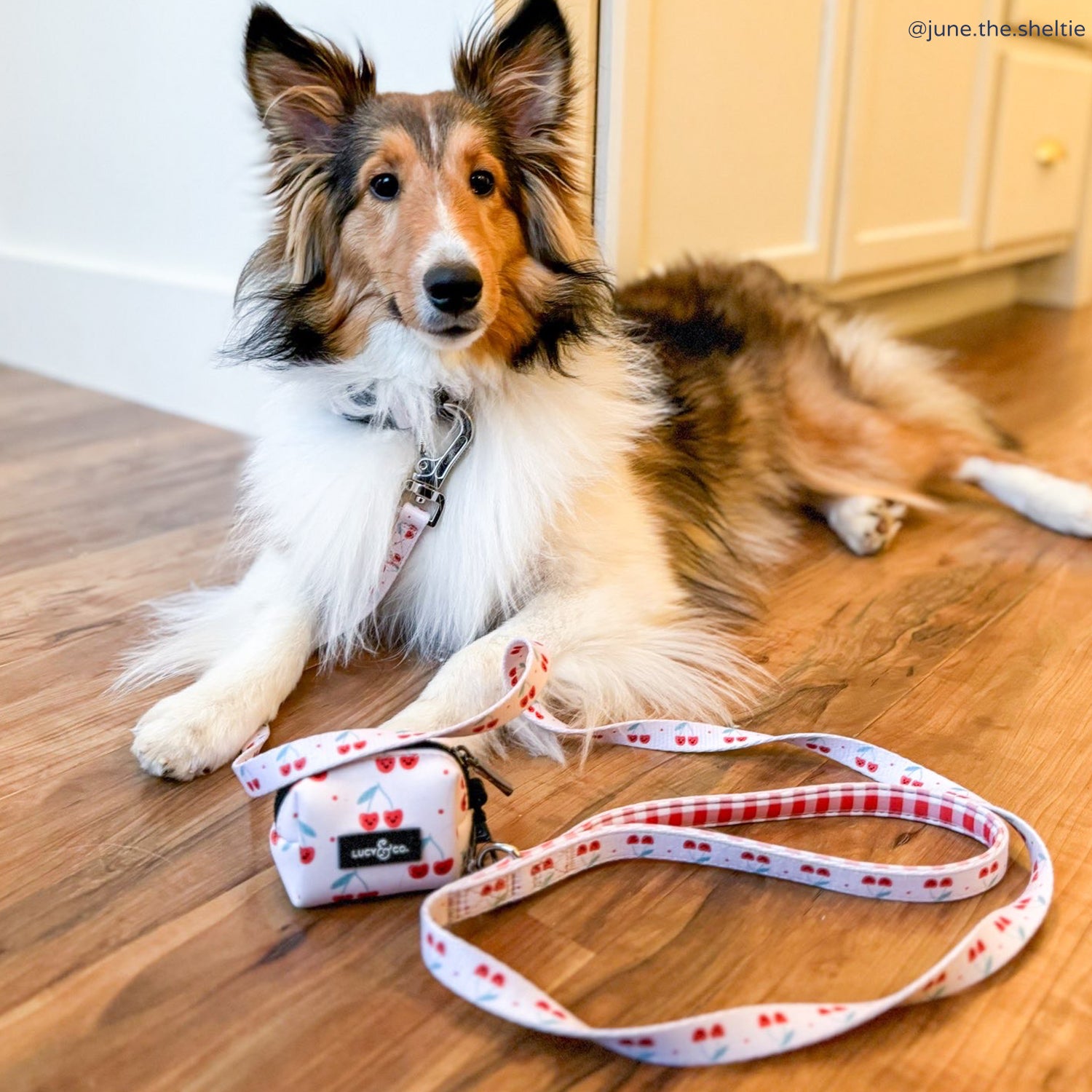 The Cheery Cherries Poop Bag Holder | Lucy & Co.