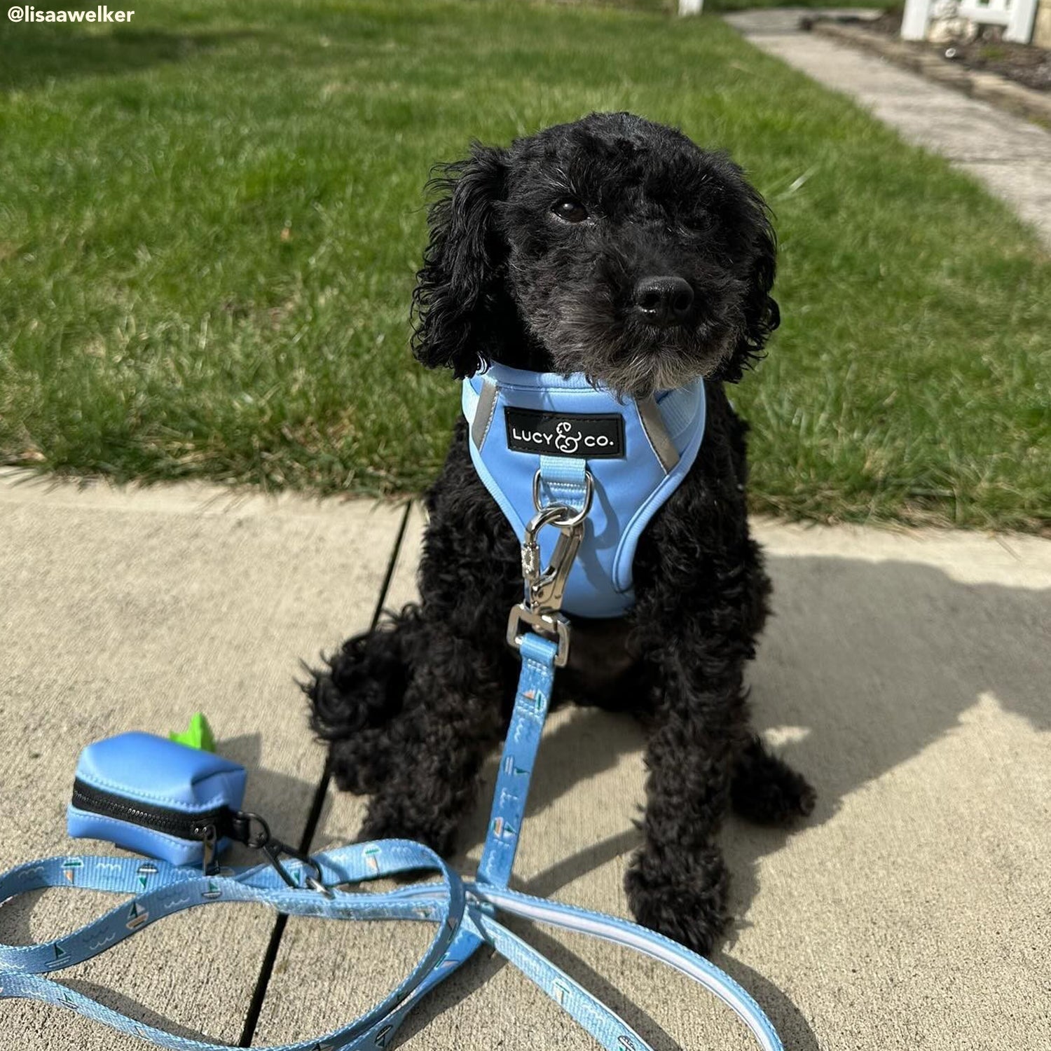 The Denim Blue Poop Bag Holder | Lucy & Co.