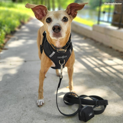 Midnight Poop Bag Holder