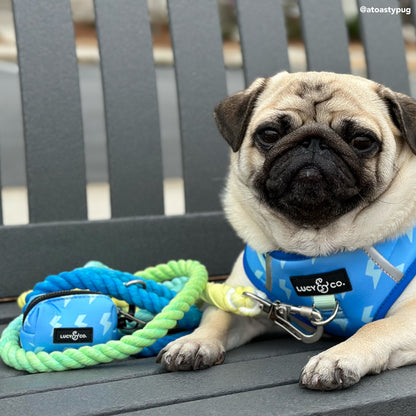 Bolt of Energy Hands-Free Rope Leash