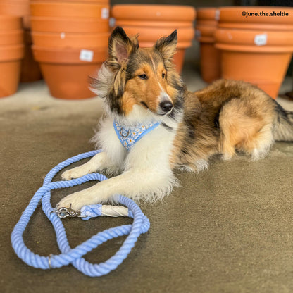 Denim Blue Hands-Free Rope Leash