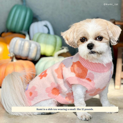 Let's Groove Sweater