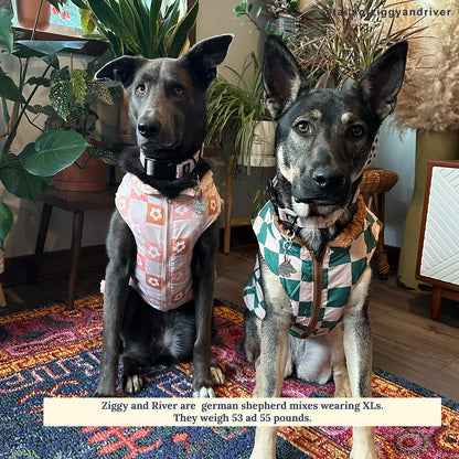 You're a Square Reversible Teddy Vest