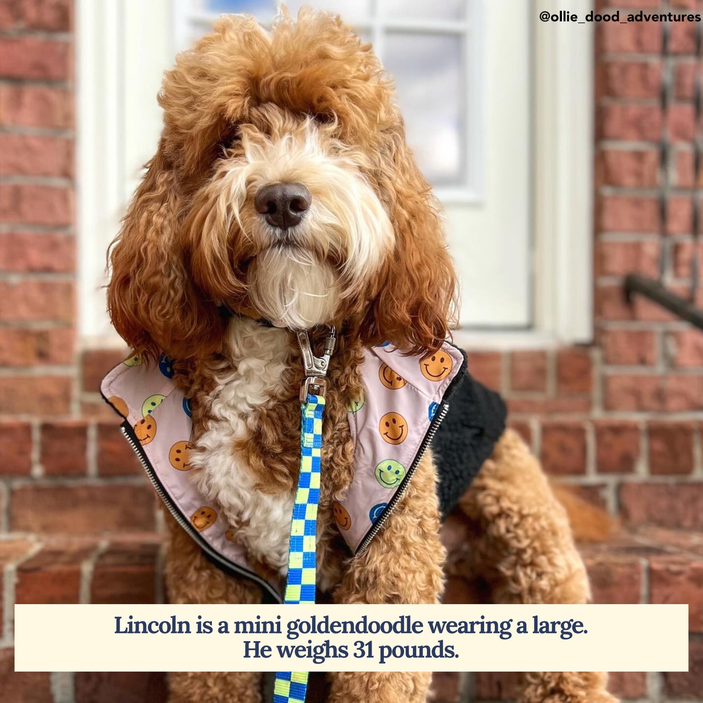 Have a Nice Day Reversible Teddy Vest