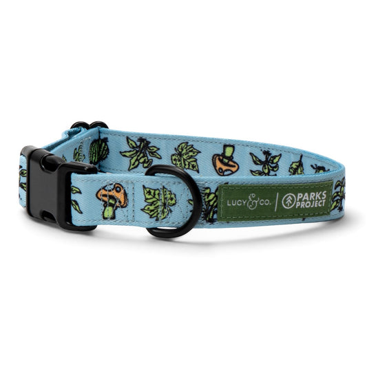 Lucy & Co. light blue dog collar with mushroom and leaf print, featuring black hardware and a co-branded fabric tag.