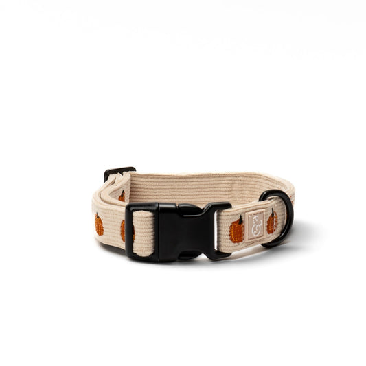 Lucy & Co. Oh My Gourd dog collar in cream corduroy with embroidered pumpkin pattern and black hardware.