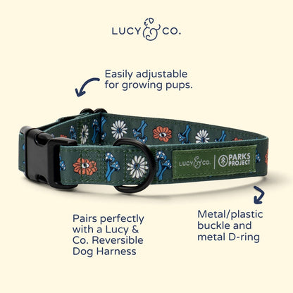 Lucy & Co. x Parks Project dog collar in dark green polyester with a floral and mushroom print and black hardware.