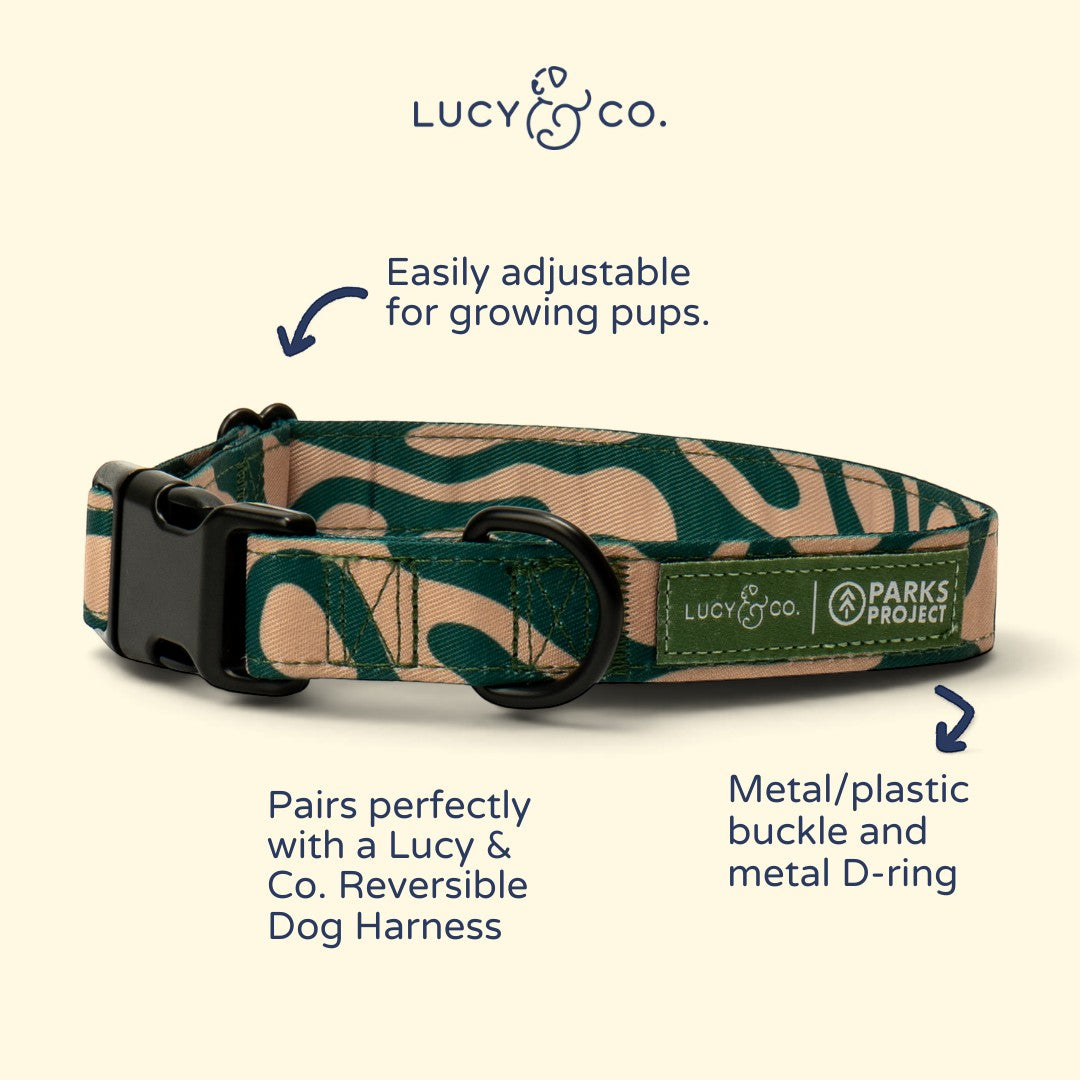 Lucy & Co. x Parks Project Geyser dog collar in green and tan wavy print with durable buckle and metal D-ring