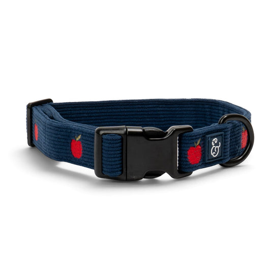 Lucy & Co. navy blue corduroy dog collar featuring a red apple print and durable black hardware.