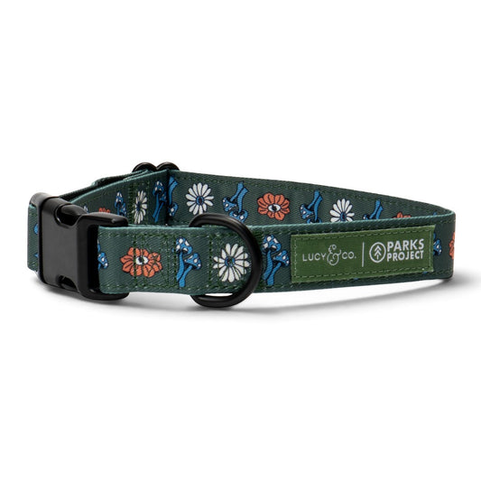 Lucy & Co. x Parks Project Power to the Parks dog collar in forest green with floral and mushroom print