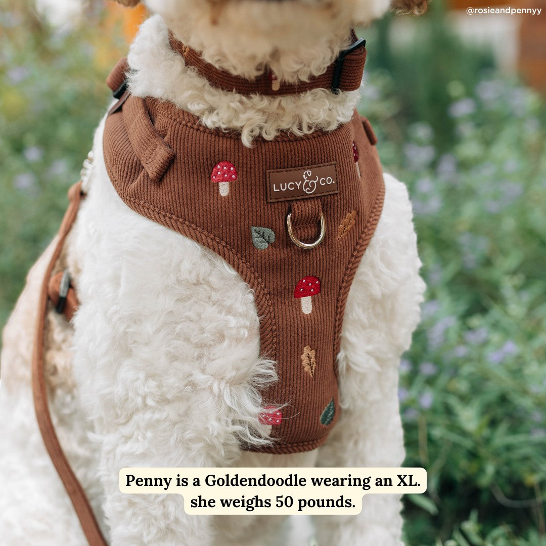 Lucy & Co. brown corduroy dog harness with woodland toadstool and fern embroidery on a Goldendoodle