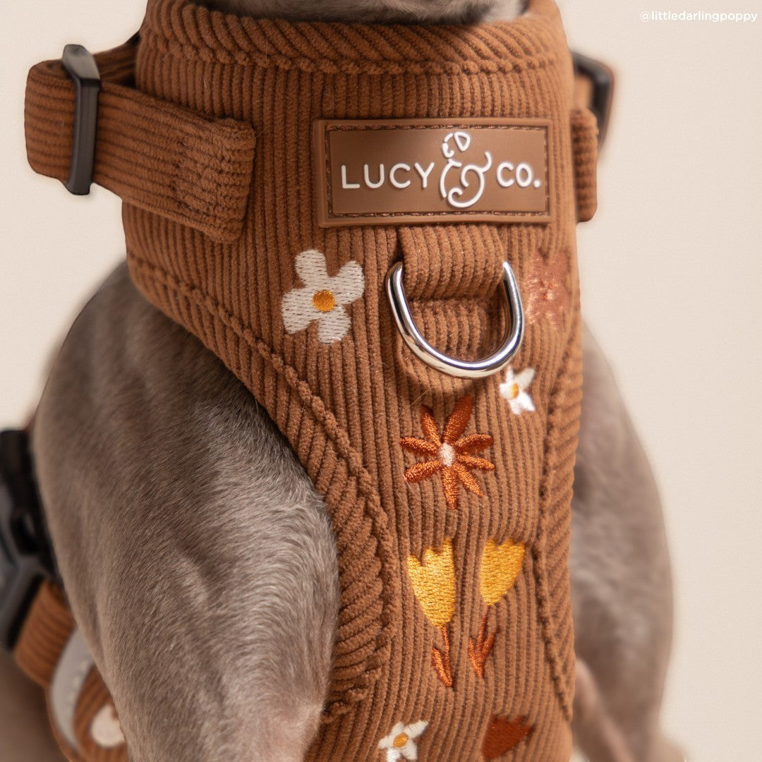 Lucy & Co. brown corduroy dog harness with floral embroidery and front leash attachment point on a grey dog