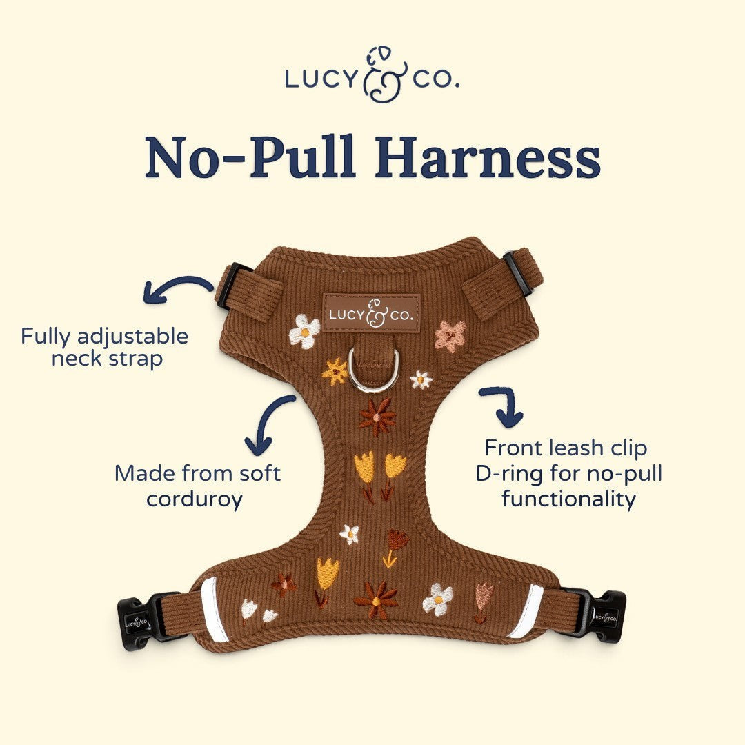 Lucy & Co. Chocolate Meadows brown corduroy dog harness with floral embroidery, front D-ring, and adjustable straps.