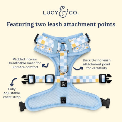 Lucy & Co. Simply Splendid no-pull dog harness in light blue with daisy print, featuring adjustable straps and mesh.